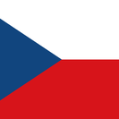 Language switch flag